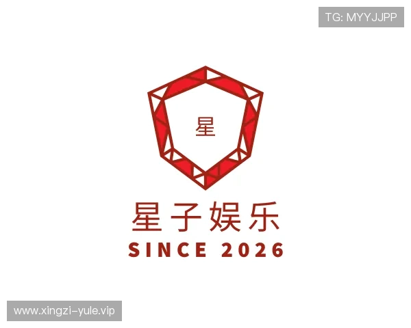 关于星子娱乐